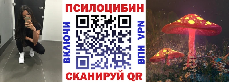 магазин    Болгар  Псилоцибиновые грибы Cubensis 