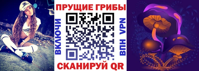 Галлюциногенные грибы Psilocybe Болгар